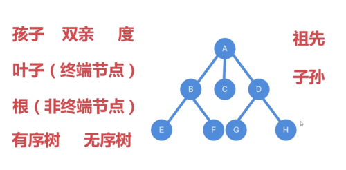 树节点是哪个好的简单介绍-图3 树节点是哪个好的简单介绍-图3