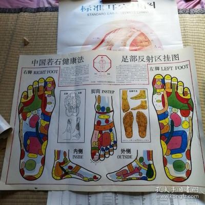 反射包是哪个好（反射效果什么意思）
