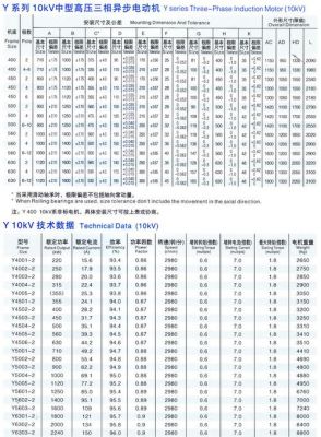 电机绝缘标准（10kv高压电机绝缘标准）