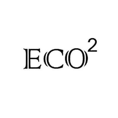 等效二氧化碳eco2标准（等效二氧化碳eco2标准是多少）