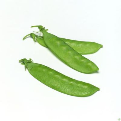 豌豆荚属于哪个公司(豌豆荚属于哪个公司的产品)-图1 豌豆荚属于哪个公司(豌豆荚属于哪个公司的产品)-图1