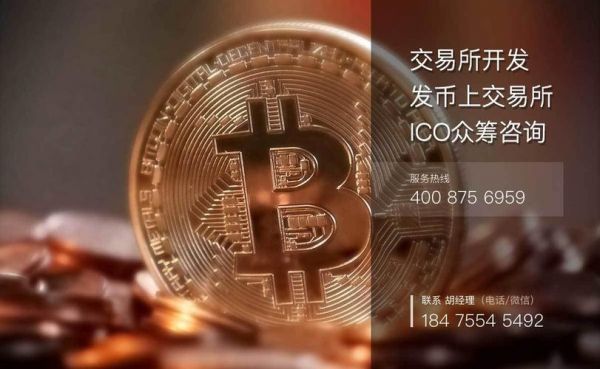 虚拟币众筹平台哪个好（国外虚拟币众筹）
