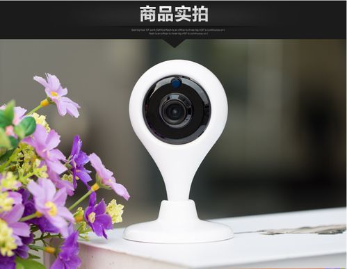 监控摄像头设备不在线(无网络监控摄像头)-图3 监控摄像头设备不在线(无网络监控摄像头)-图3