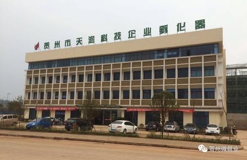 天和孵化设备(天润孵化器)-图2 天和孵化设备(天润孵化器)-图2