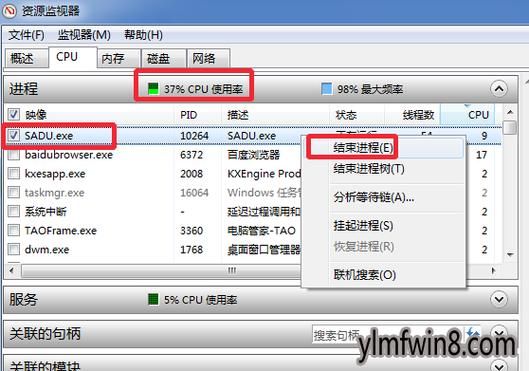 关于哪个xp系统占用cpu的信息