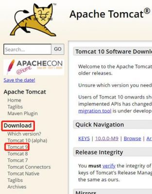 tomact哪个版本好用(tomcat下载哪个版本较好)-图2 tomact哪个版本好用(tomcat下载哪个版本较好)-图2