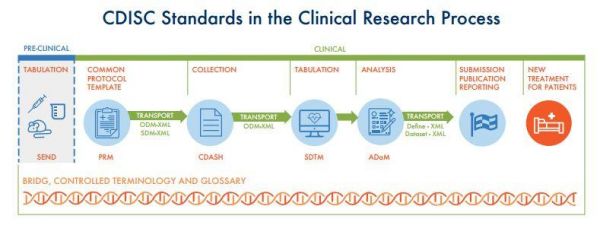 ccix标准（cdisc标准）