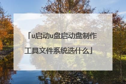 系统下u启哪个文件里（u启动盘里面有系统文件吗）