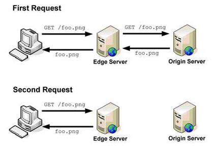 net服务不包括下面哪个构件（net服务器的作用）