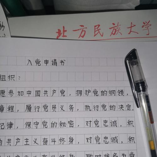 怎么写入cgram（怎么写入党申请书范文500字）