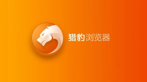 mac猎豹安全浏览器哪个好用(猎豹浏览器优缺点)-图1 mac猎豹安全浏览器哪个好用(猎豹浏览器优缺点)-图1