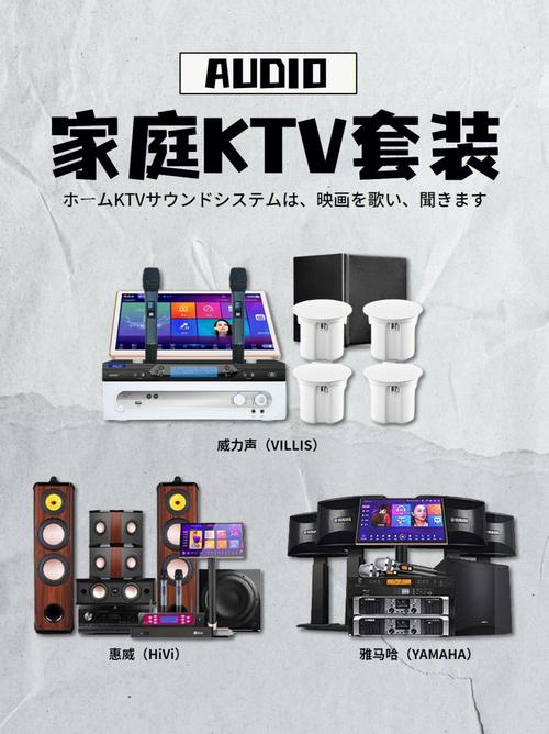家用ktv音响设备（家用ktv专业音响套装）