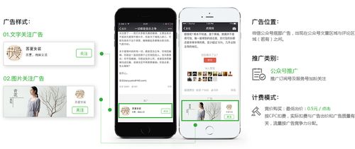 公众号和官网哪个（公众号和官网哪个好）