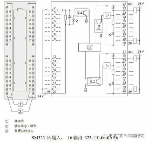 PLC接线端子怎么取(plc的接线端子用的是什么型号端子)-图3 PLC接线端子怎么取(plc的接线端子用的是什么型号端子)-图3
