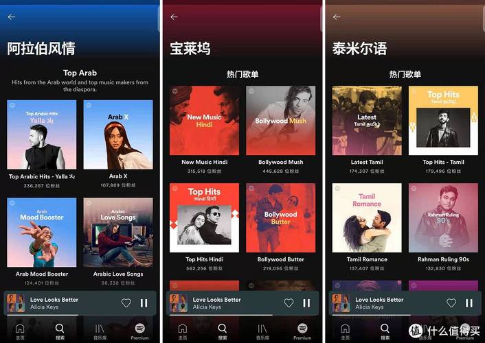 国外听中文歌的软件哪个好（在国外听中文歌曲的播放器）