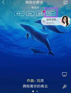 手机酷狗歌手写真在哪个文件夹(手机酷狗音乐歌手写真在哪里)-图3 手机酷狗歌手写真在哪个文件夹(手机酷狗音乐歌手写真在哪里)-图3