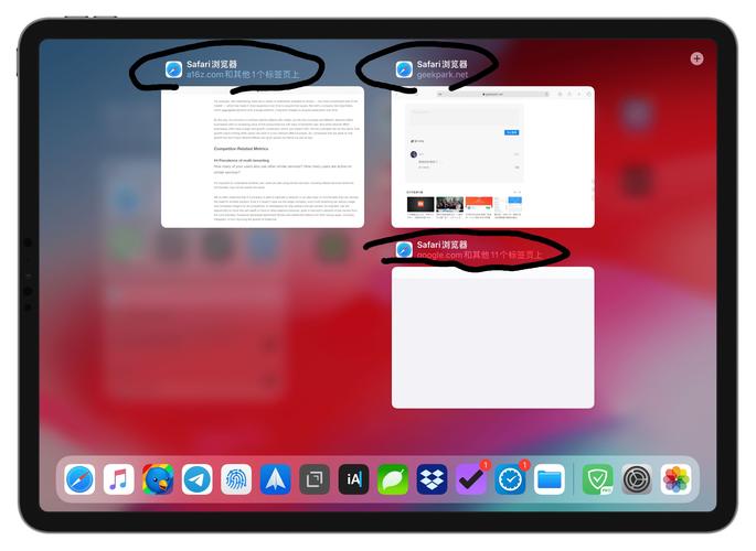 ipad上浏览器哪个好用（ipad 最好的浏览器）