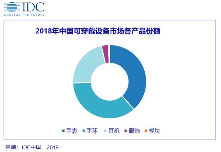 穿戴设备公司网站（国内穿戴设备制造企业排名）