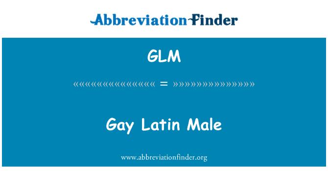 glgl.h在哪个库（glm库）