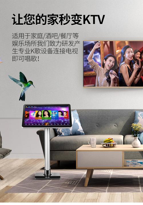 家庭k歌需要装什么设备(家庭k歌套装设备什么品牌好)-图2 家庭k歌需要装什么设备(家庭k歌套装设备什么品牌好)-图2