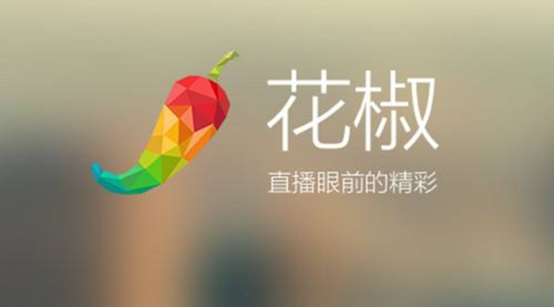 花椒手机直播设备(用手机花椒直播时候会出现的问题)-图2 花椒手机直播设备(用手机花椒直播时候会出现的问题)-图2