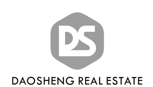 dasd系列哪个公司的(ds系列是什么品牌)-图2 dasd系列哪个公司的(ds系列是什么品牌)-图2