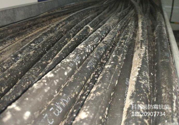 电缆头发黑怎么处理(电缆里面发黑)-图3 电缆头发黑怎么处理(电缆里面发黑)-图3