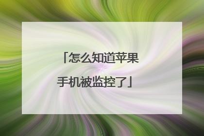 苹果反监测设备(苹果手机反监控软件)-图3 苹果反监测设备(苹果手机反监控软件)-图3