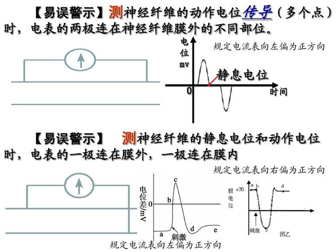 电流怎么传导的（电流是如何传输的）-图1