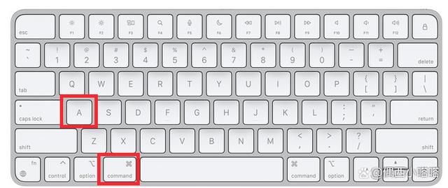 键盘中的哪个键是全方位的取消键（键盘按哪个键取消全选状态）