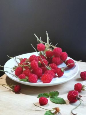 树莓标准（树莓好坏）