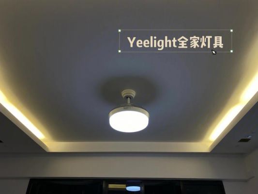 yeelight射灯设备离线（yeelight智能灯离线）