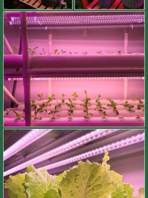 led植物生长灯标准（led植物生长灯标准是多少）