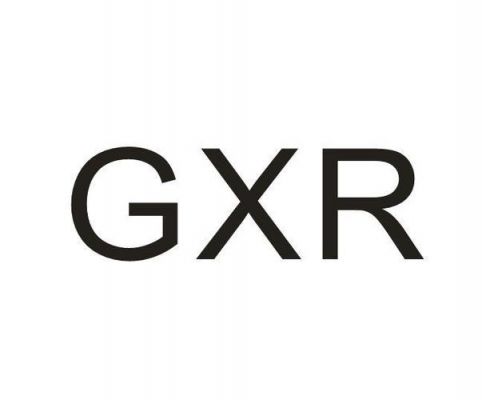 GXR代表什么设备（gxr是）