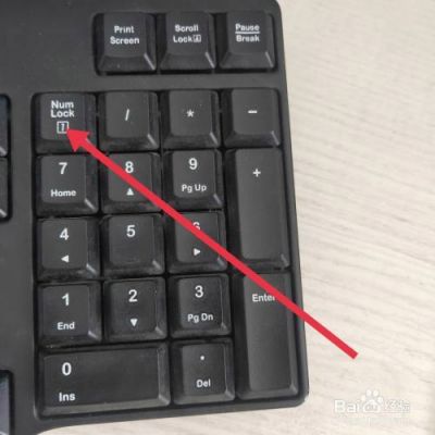 键盘属于输入设备吗（电脑小键盘打不出数字）