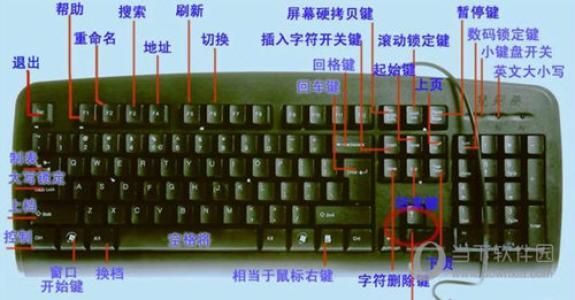点击键盘的设备（键盘点击器原理）-图1